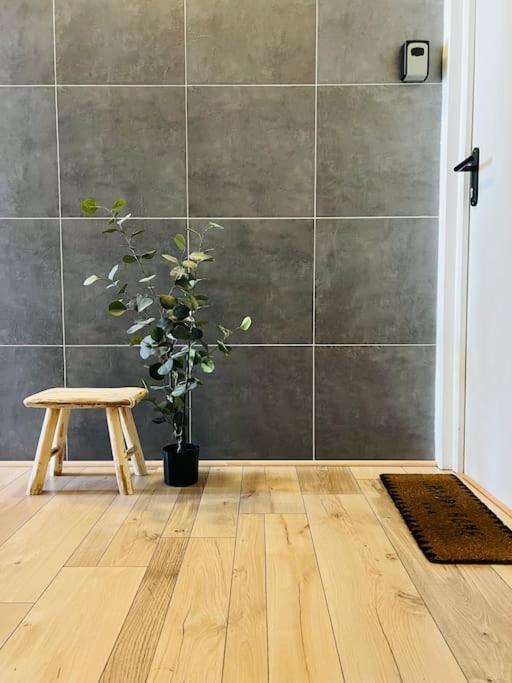 Studio Girafe, Style Boheme Et Atypique, Curistes Luxeuil-les-Bains Exterior photo
